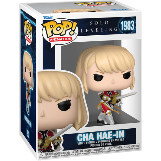 Solo Leveling - Cha Hae-In Pop!